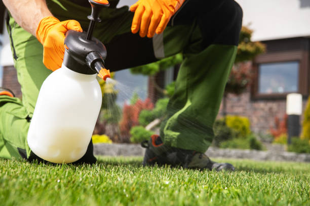 Best Best Pest Control Companies  in Salida Del Sol Estates, TX