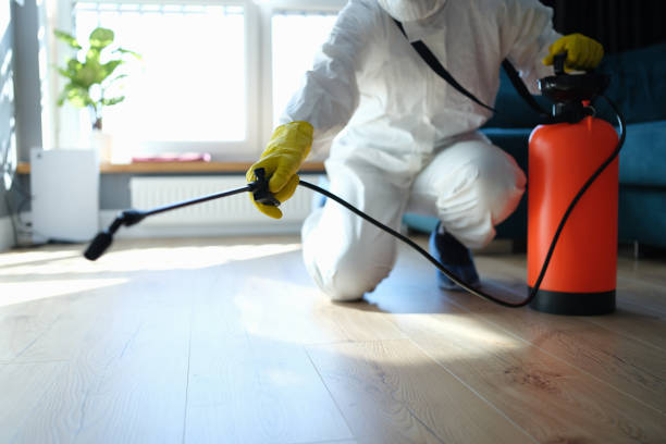 Pest Control Cost in Salida Del Sol Estates, TX