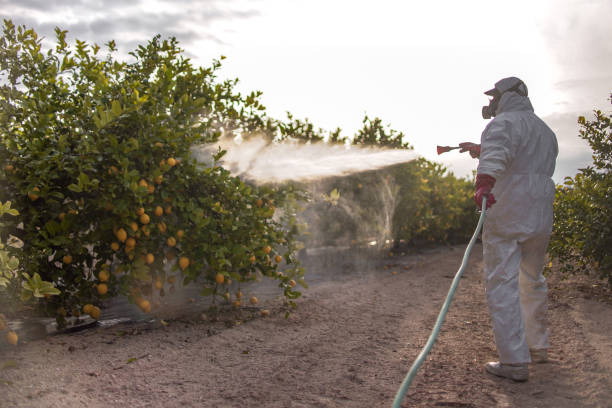 Best Commercial Pest Control Services  in Salida Del Sol Estates, TX