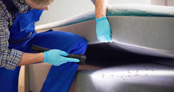 Best Emergency Pest Control  in Salida Del Sol Estates, TX