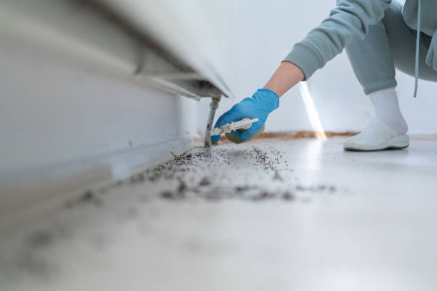 Best Termite Control Services  in Salida Del Sol Estates, TX