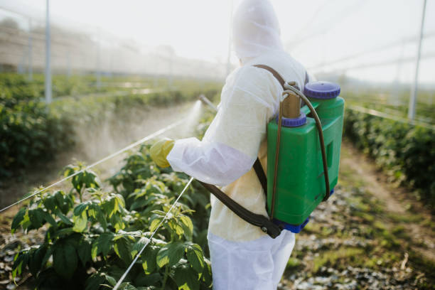 Trusted Salida Del Sol Estates, TX Pest Control Experts